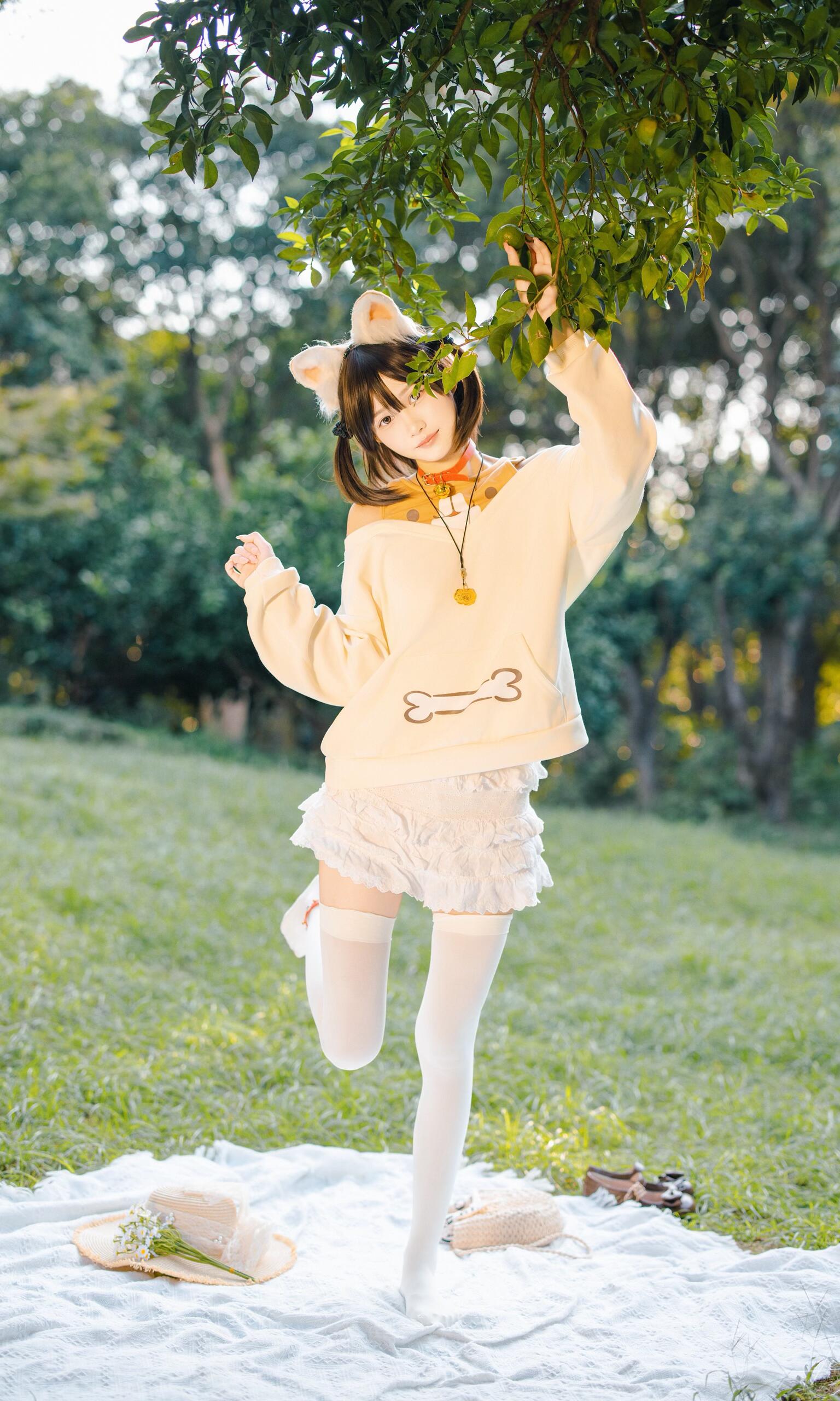 kitty's picnic - 7